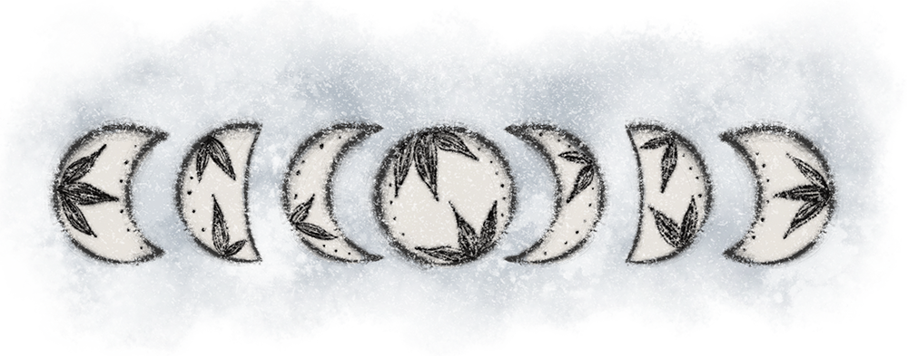 Moon phases with leaf designs